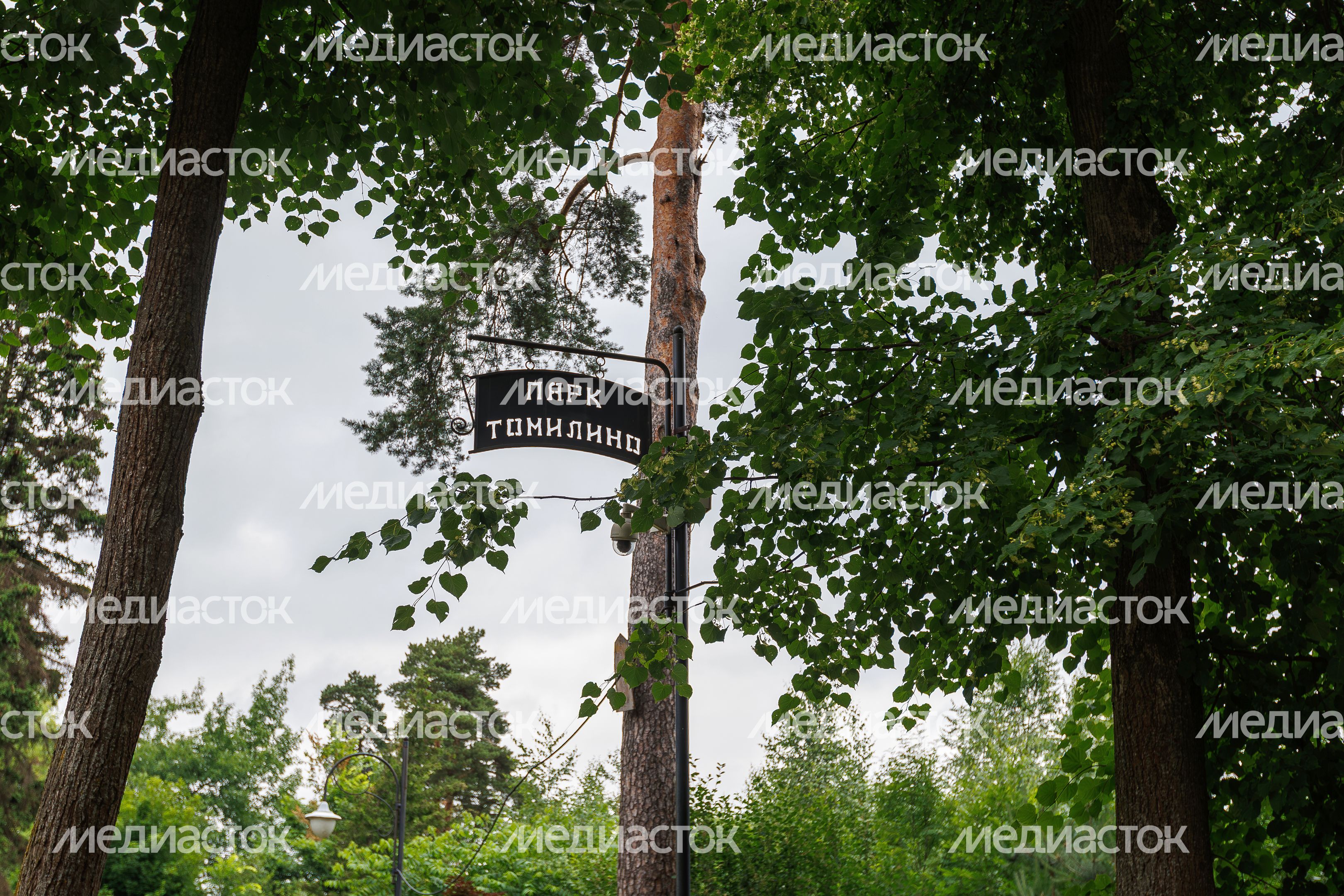 Томилинский парк сказок в округе Люберцы