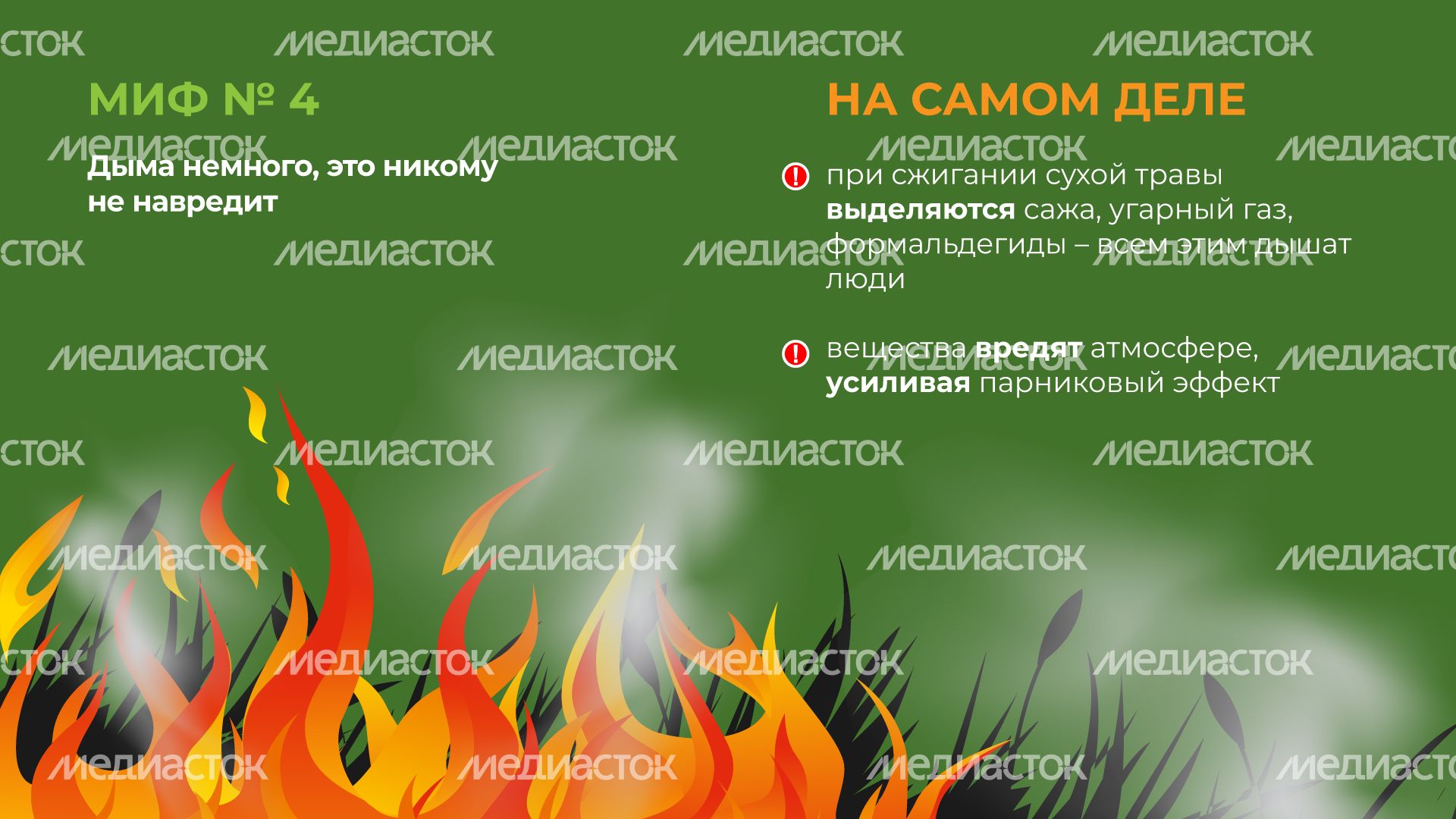 пал_гор_5.jpg