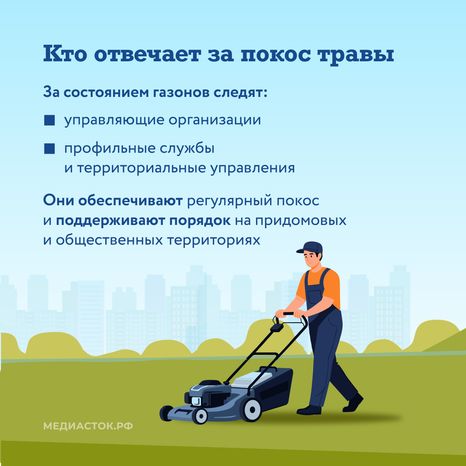 Как ухаживают за газонами квадрат 02