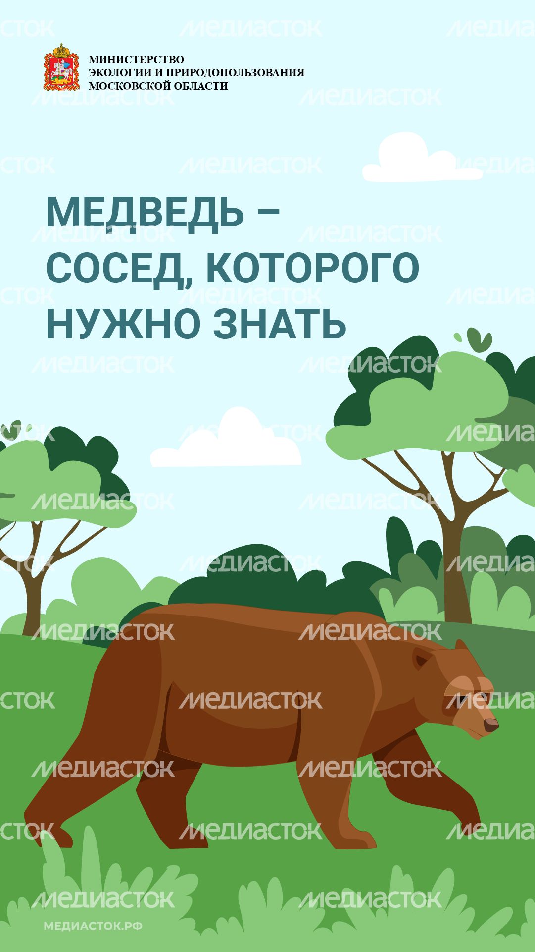 Медведь – сосед, которого нужно знать_вертикаль 01 Медведь – сосед, которого нужно знать_вертикаль 01