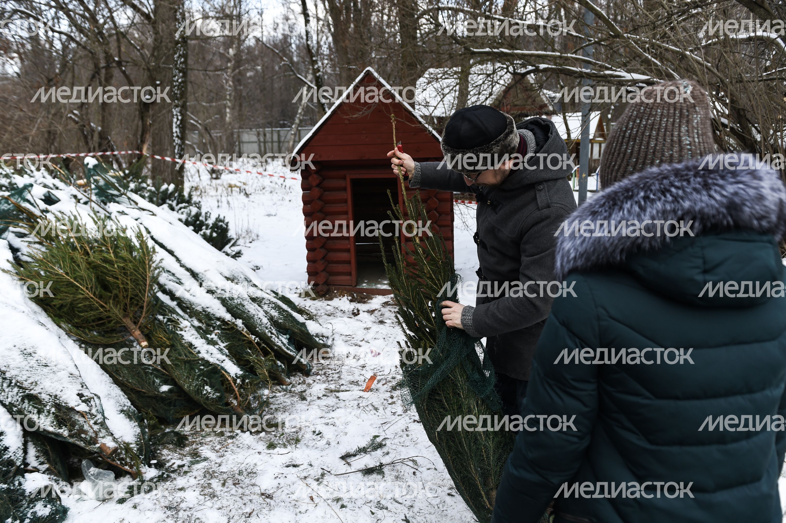 Утилизация елок после Нового года в Москве