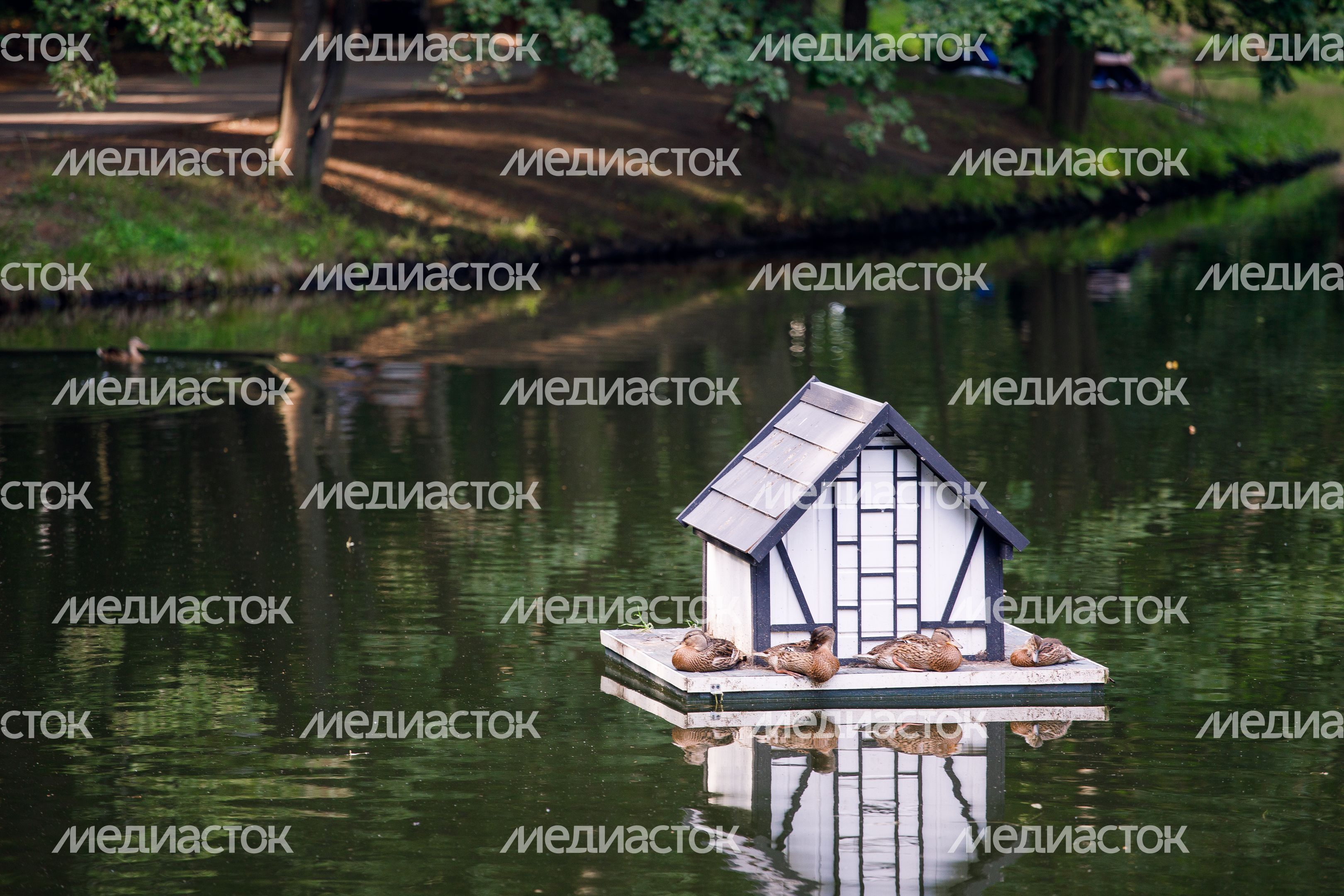 Красногорск. Красногорский городской парк Красногорск. Красногорский городской парк