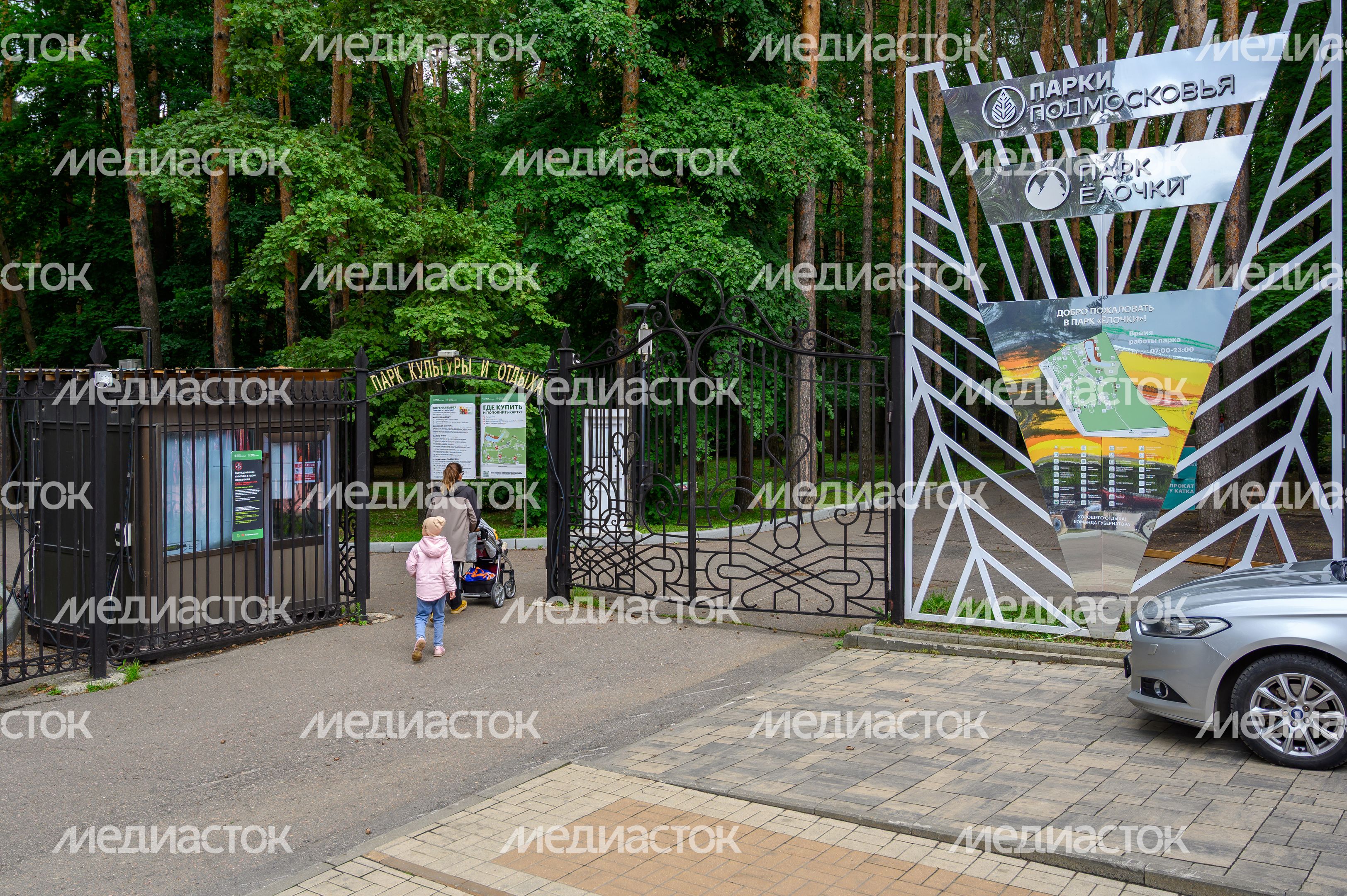 Лето в парке «Елочки» Домодедово Лето в парке «Елочки» Домодедово