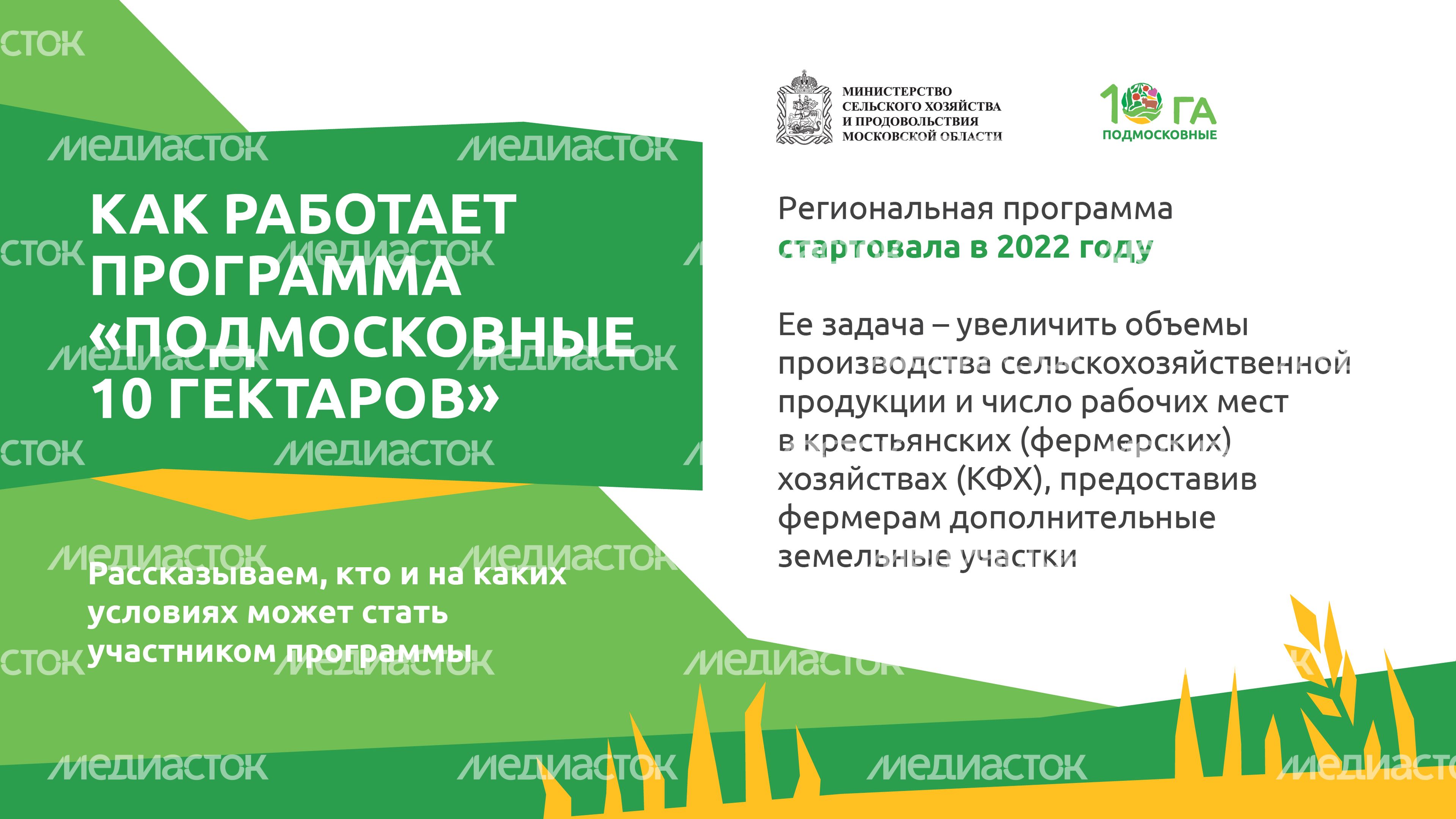 _Подмосковье 10г_-07.jpg