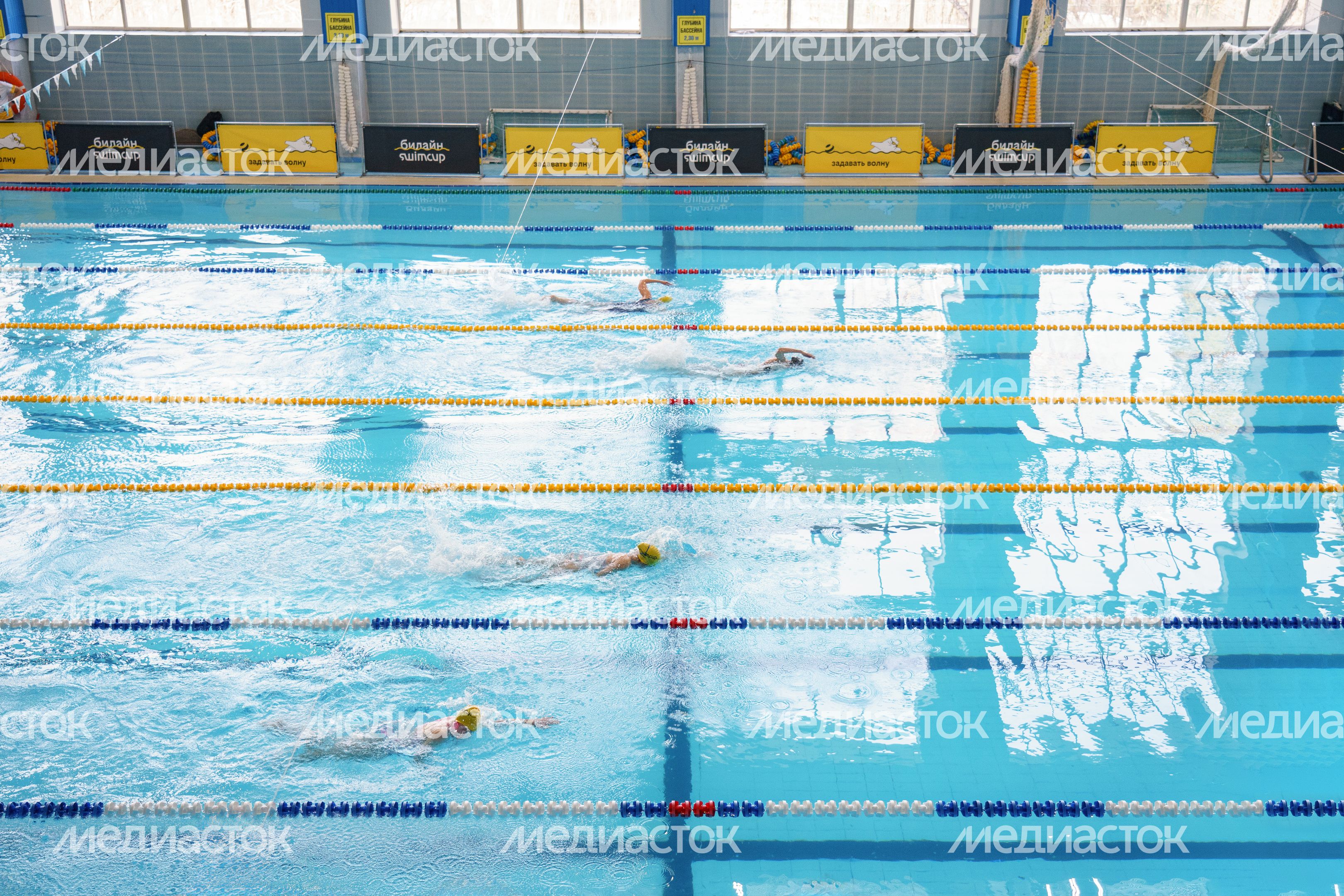 Финальный весенний турнир по плаванию международной серии Swimcup в Раменском