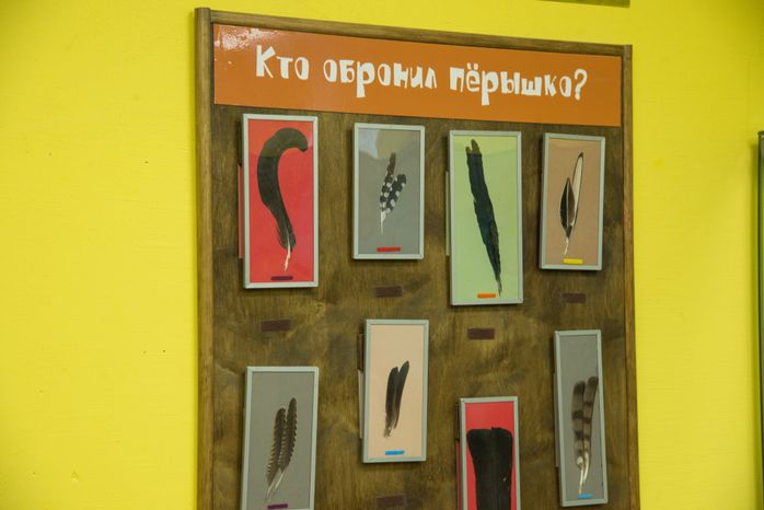 Историко-краеведческий музей