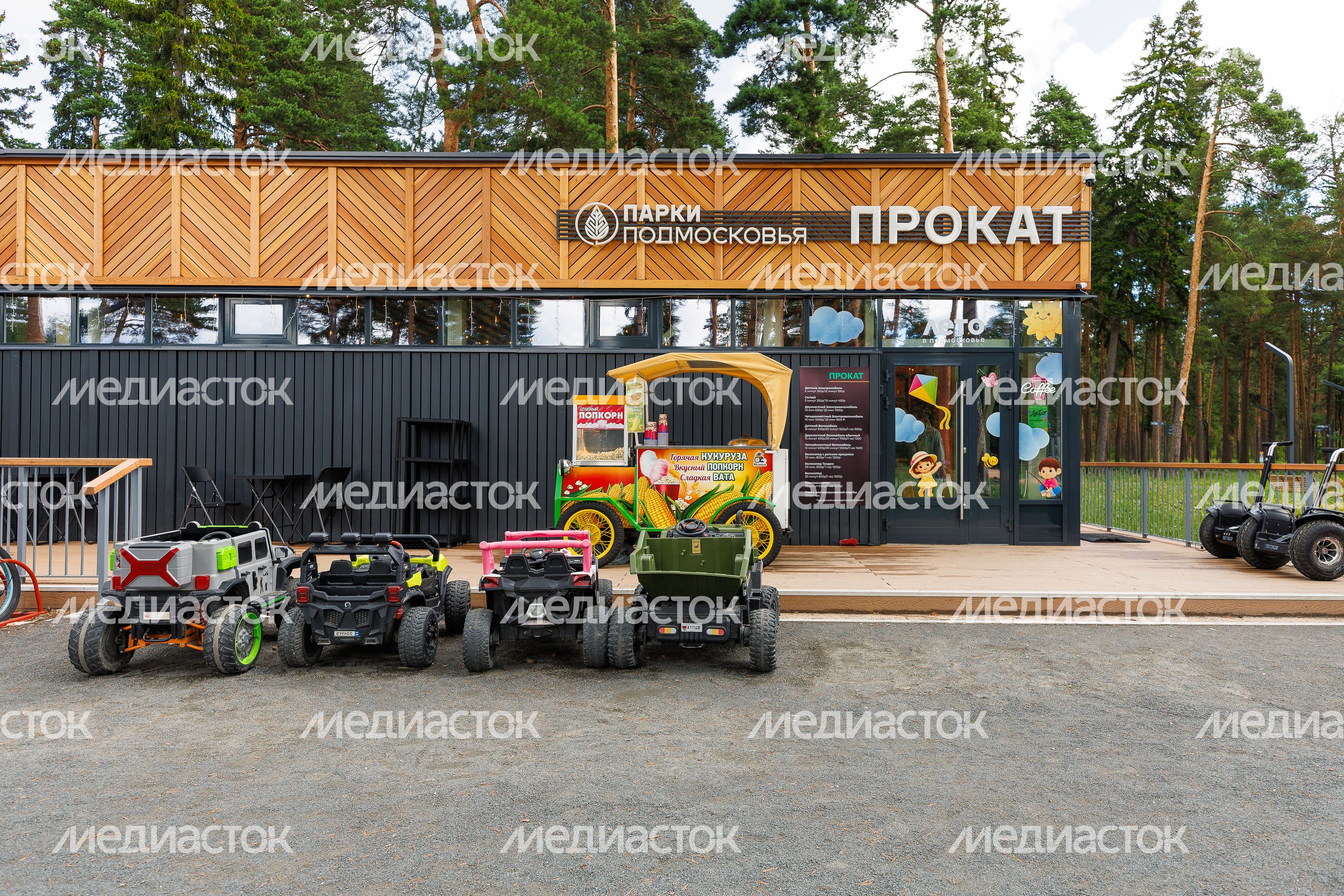 Прокат в лесопарке «Стрелки» в Орехово-Зуево летом