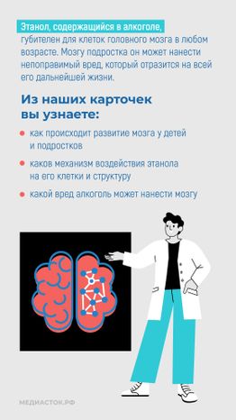 Алкоголь и развитие мозга вертикаль 02