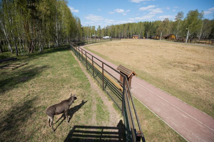 Национальный парк Лосиный остров