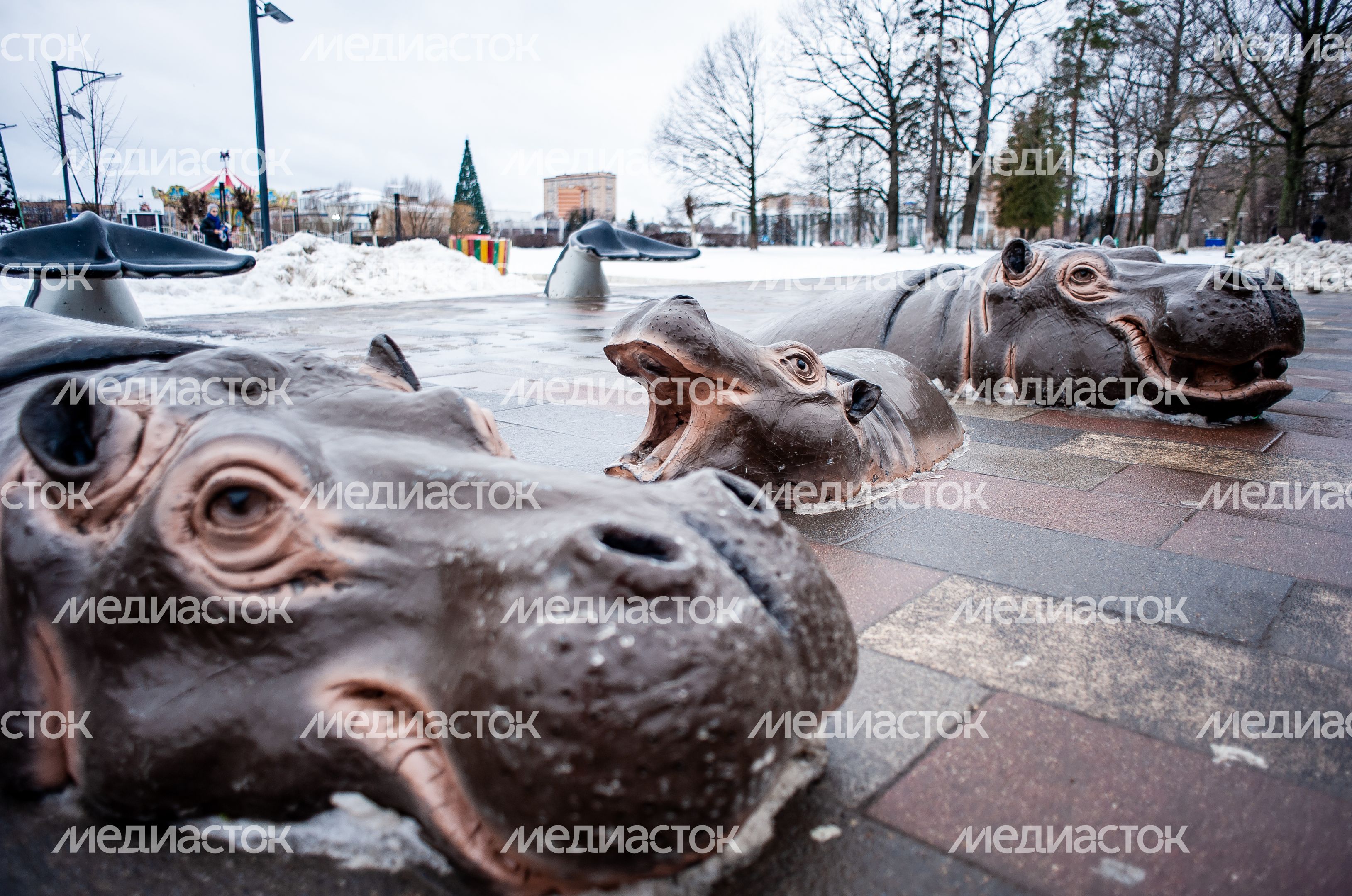 Зимние виды города Одинцово