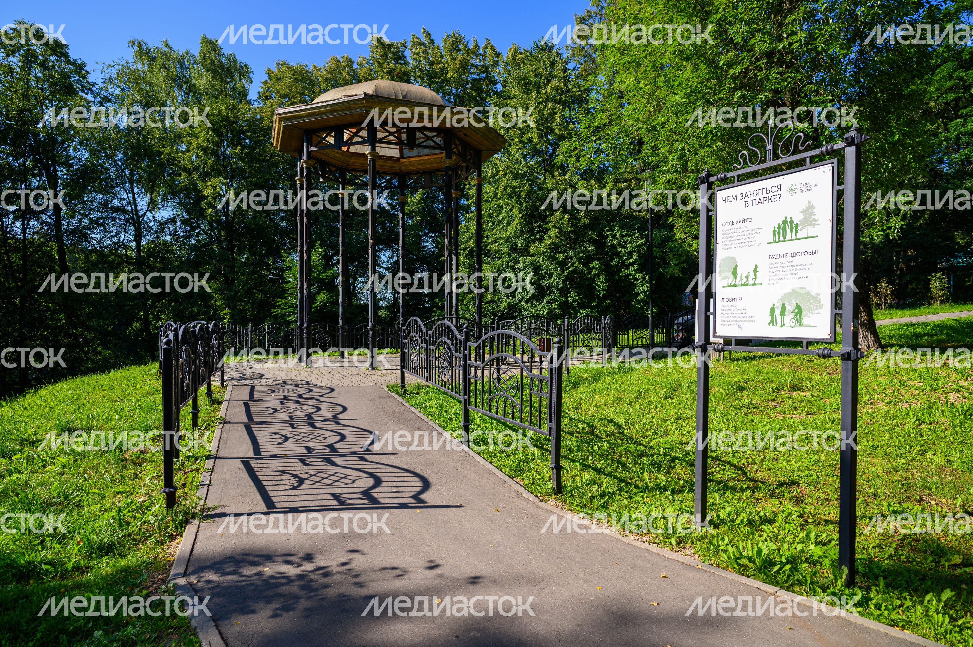 Парк "Скитские пруды" в Сергиевом Посаде. Лето Парк "Скитские пруды" в Сергиевом Посаде. Лето