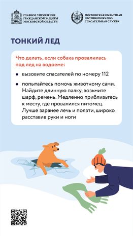 помощь усатым - вертикаль - 05