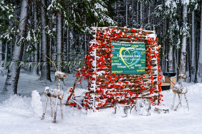 Фотозона в лесопарке «Талицкий лес» зимой в Клину