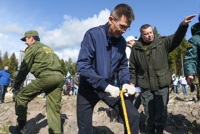 Ежегодная экологическая акция «Наш лес. Посади свое дерево» в Одинцовском городском округе