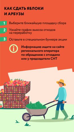 Вертикаль_арбузы_03-100.jpg