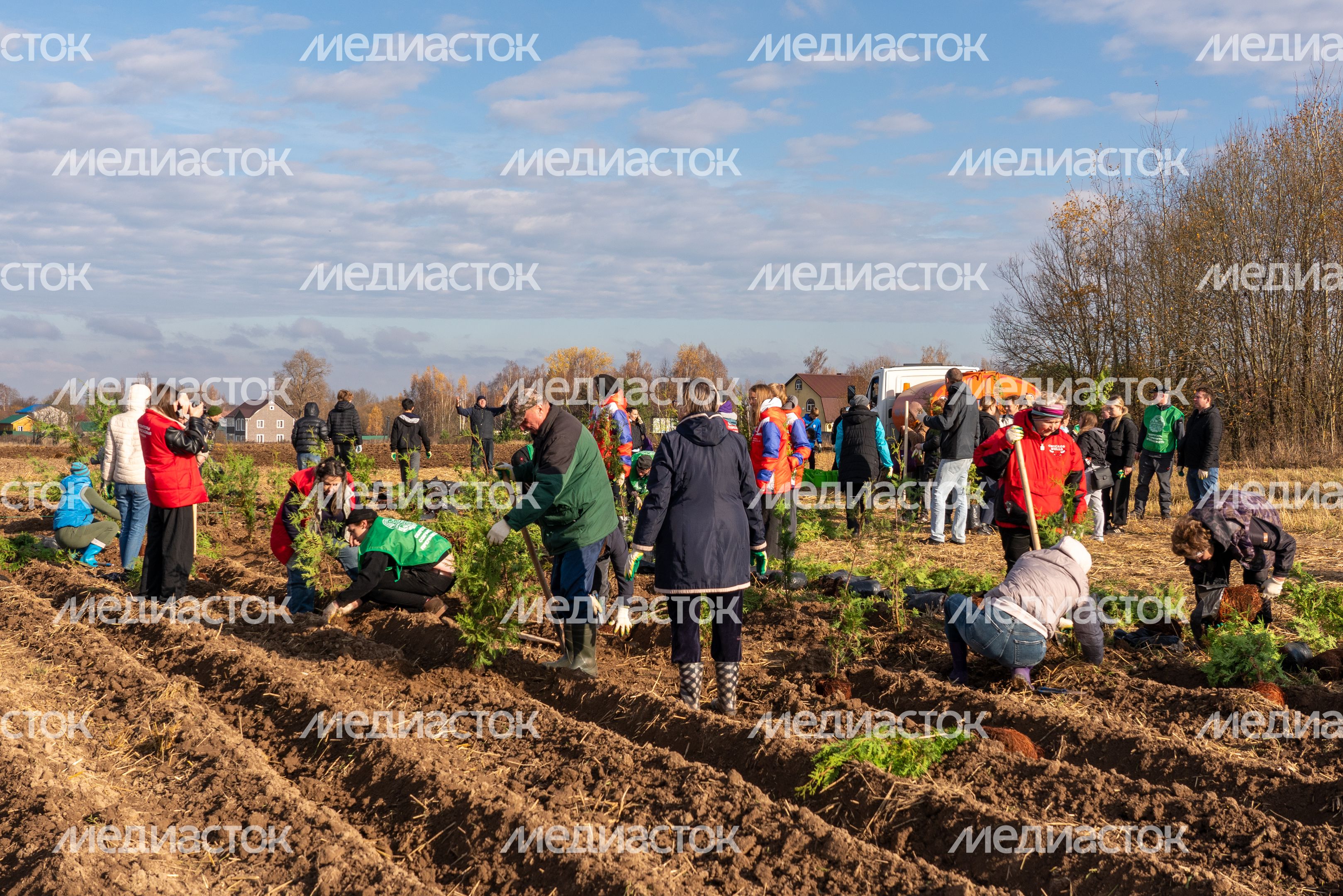 Самый большой питомник в Европе высадили в Можайском округе у деревни Клементьево Самый большой питомник в Европе высадили в Можайском округе у деревни Клементьево