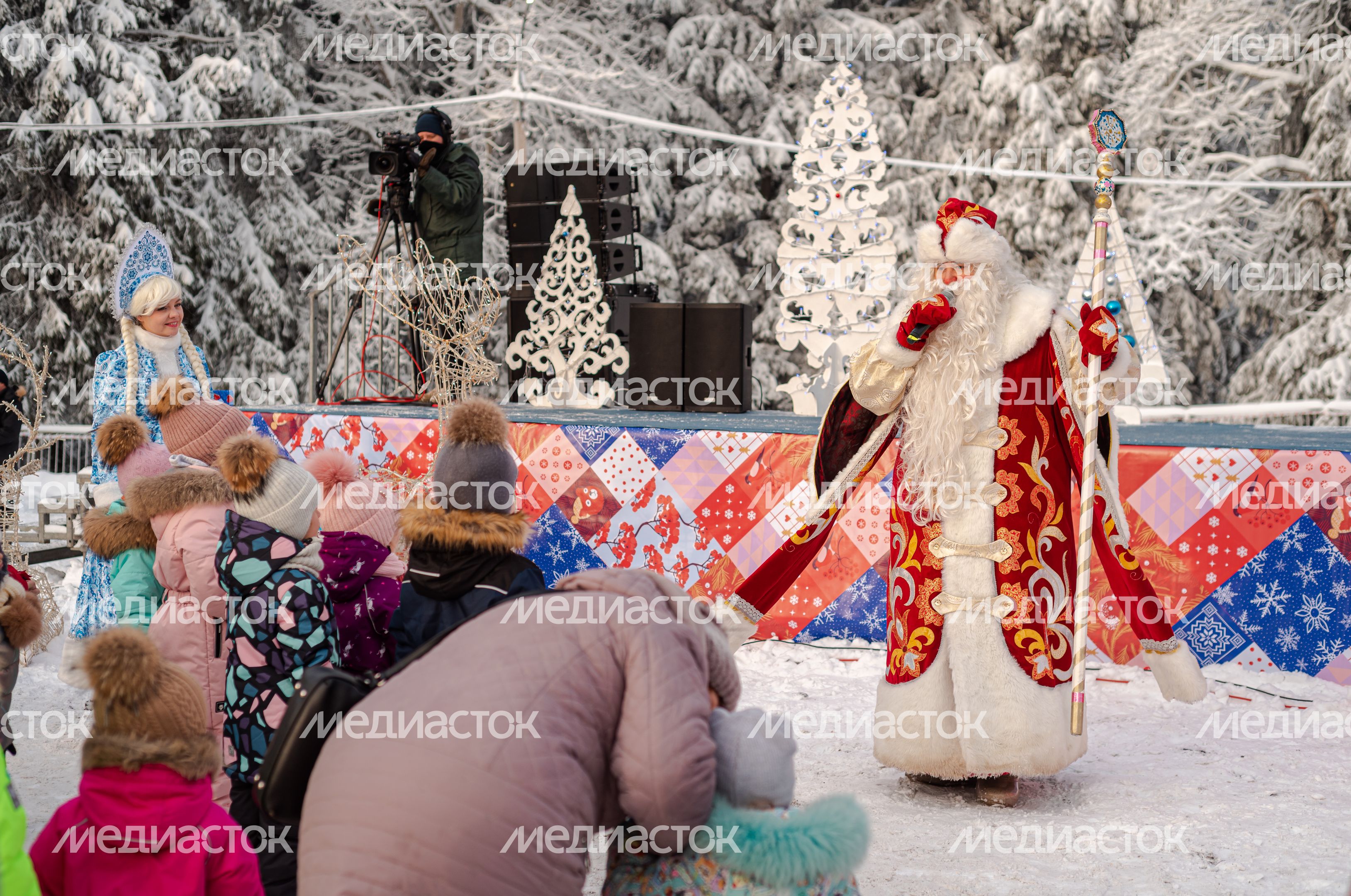Рубка главной новогодней елки страны