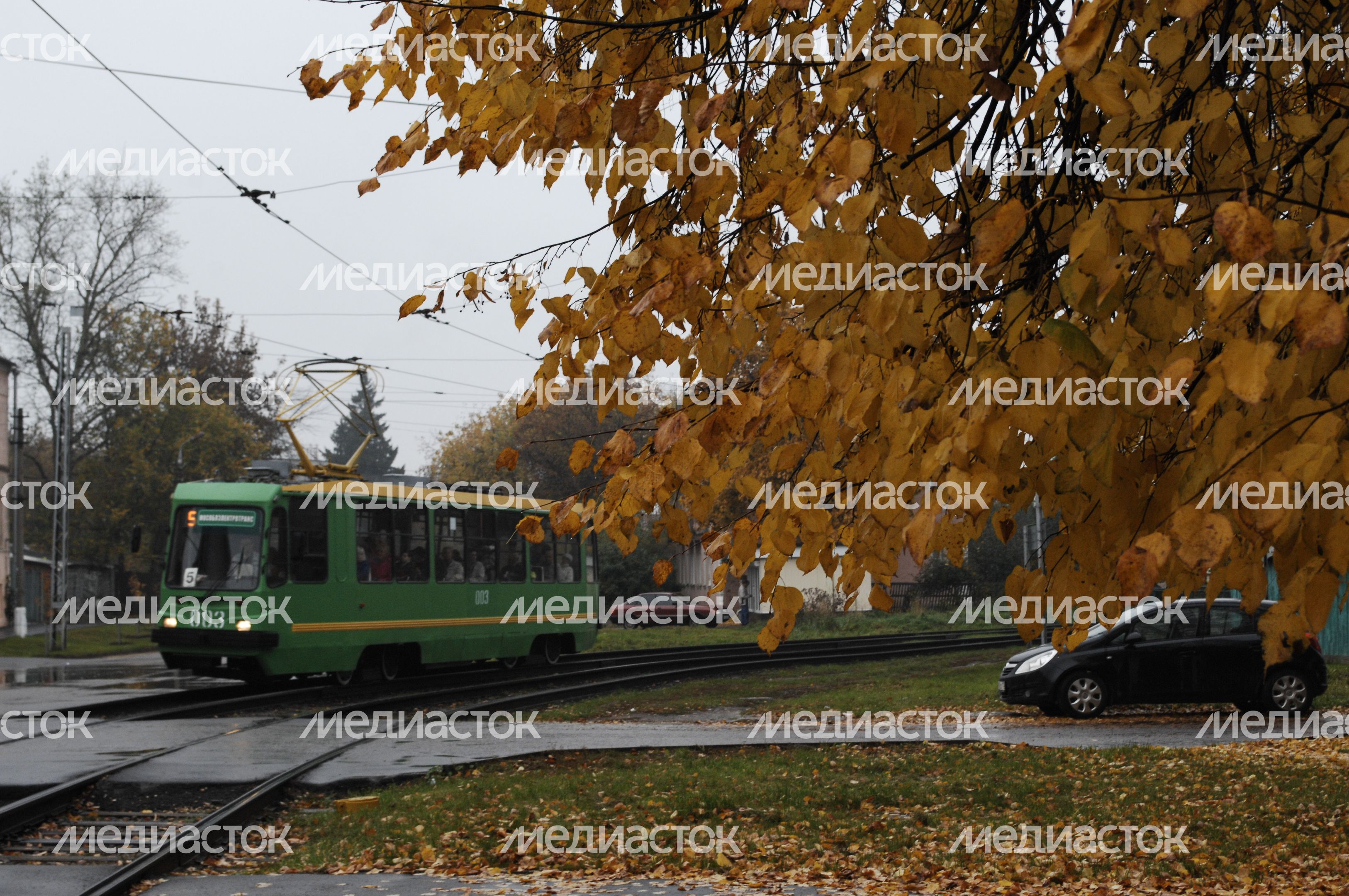 Осень в Подмосковье