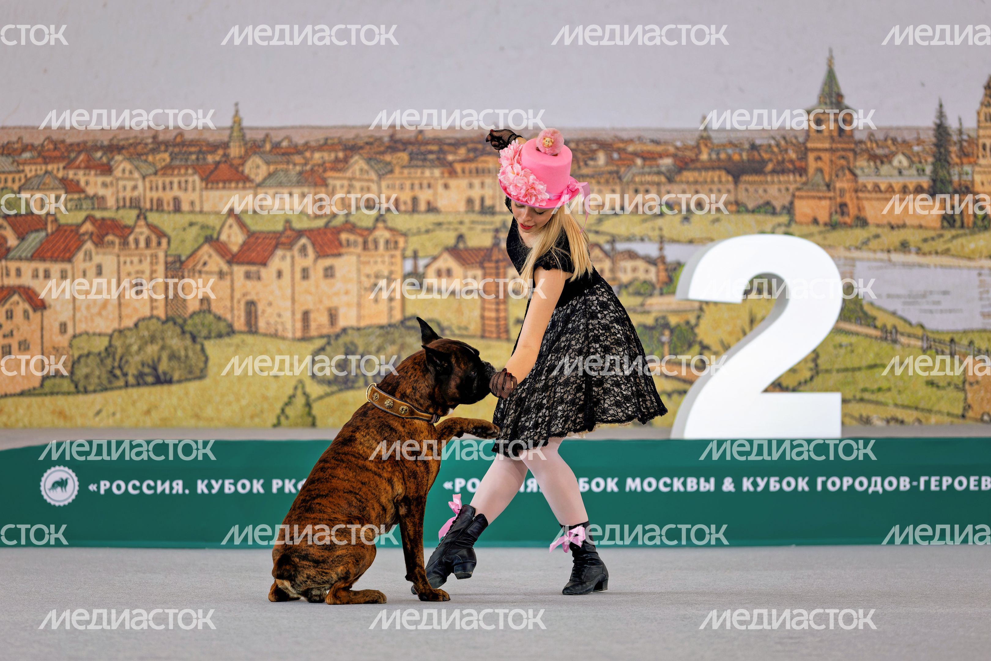 Собаки 261 породы на Национальной выставке собак всех пород в КВЦ «Патриот Экспо» Одинцовского округа