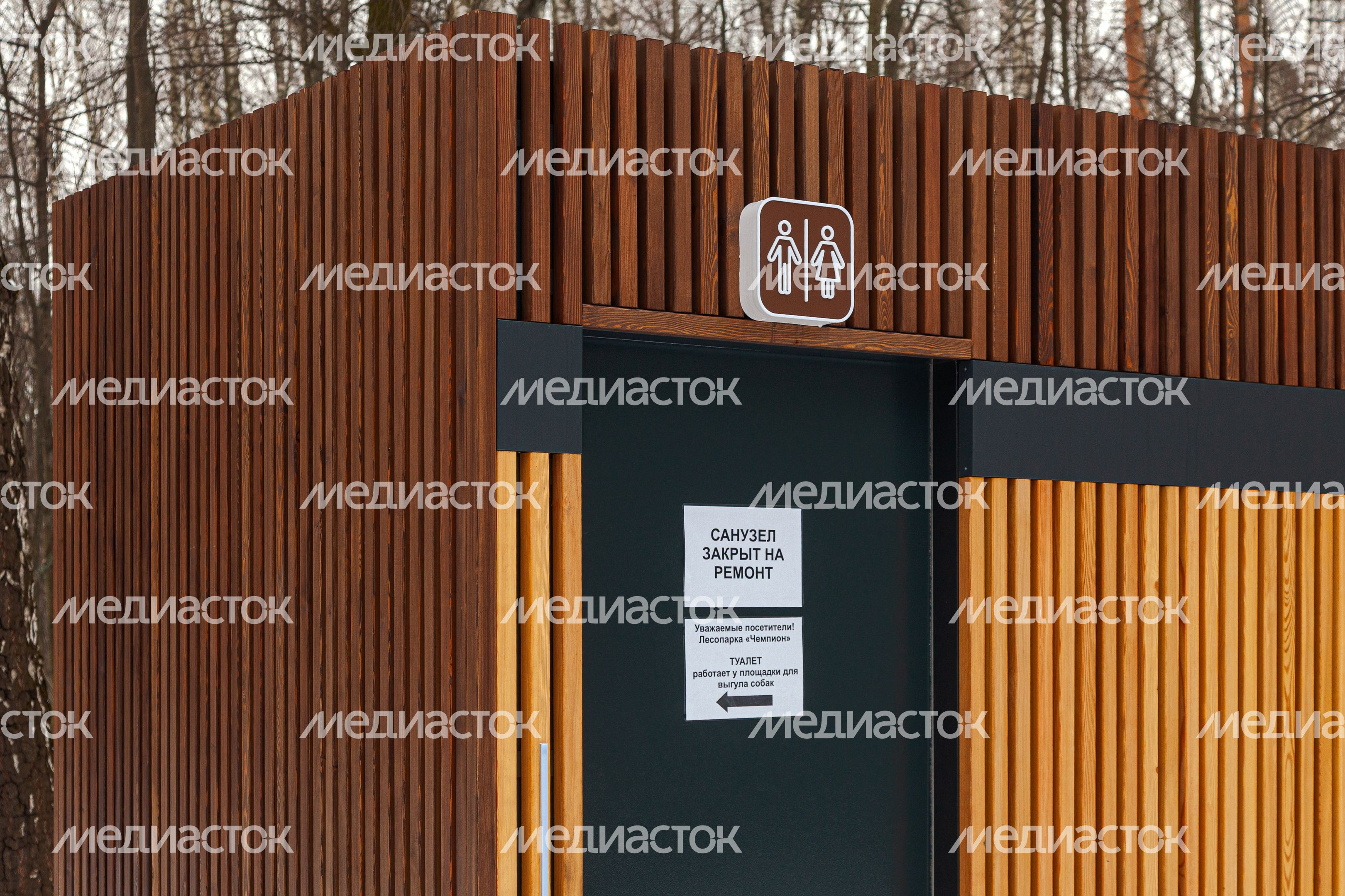 Томилинский лесопарк зимой в городе Дзержинский округа Люберцы Томилинский лесопарк зимой в городе Дзержинский округа Люберцы