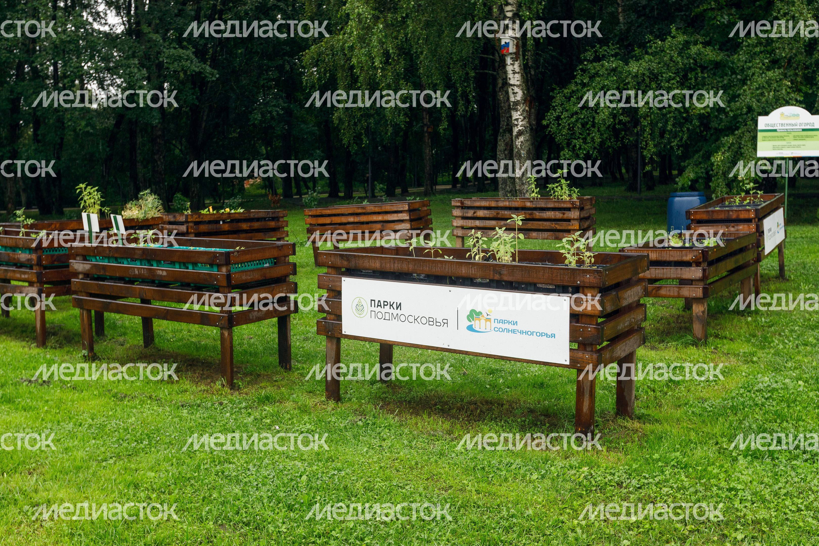 Огород в городском парке культуры и отдыха Солнечногорска Огород в городском парке культуры и отдыха Солнечногорска
