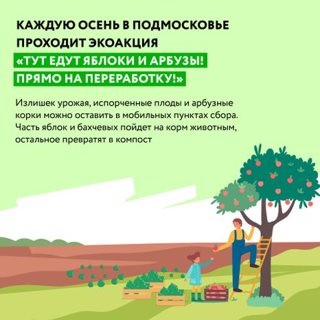 Квадрат_арбузы_02-100.jpg