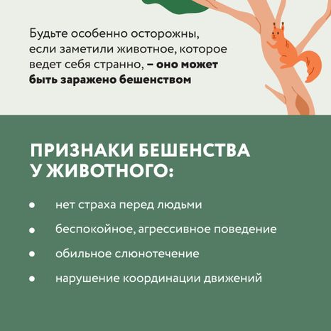 Квадрат Безопасность в лесу 06.jpg