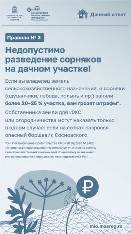 Рубрика дачный ответ