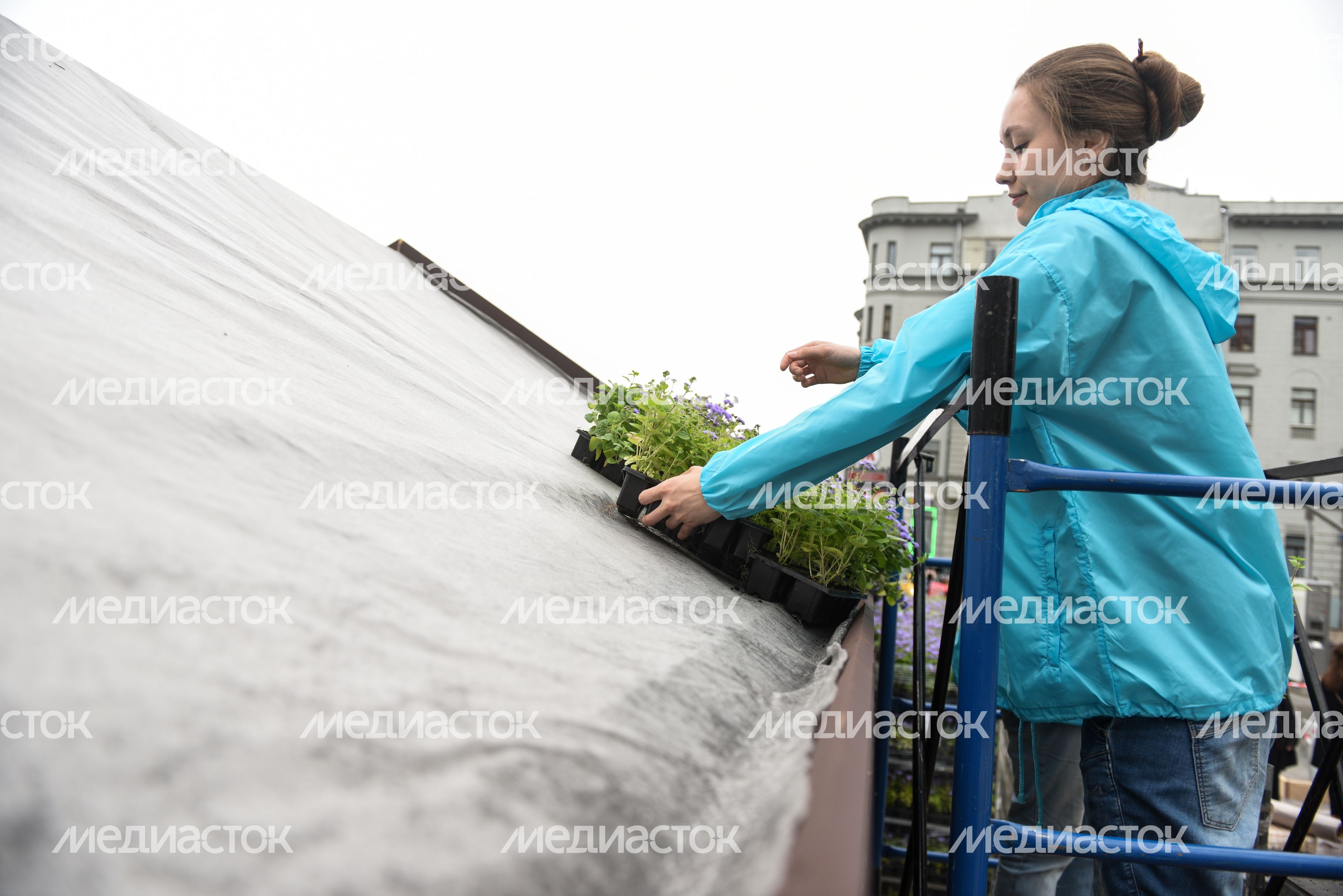 Подготовка площадок нового фестиваля Московское Лето Цветочный Джем
