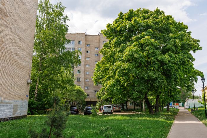 Летние виды поселка Монино округа Щелково