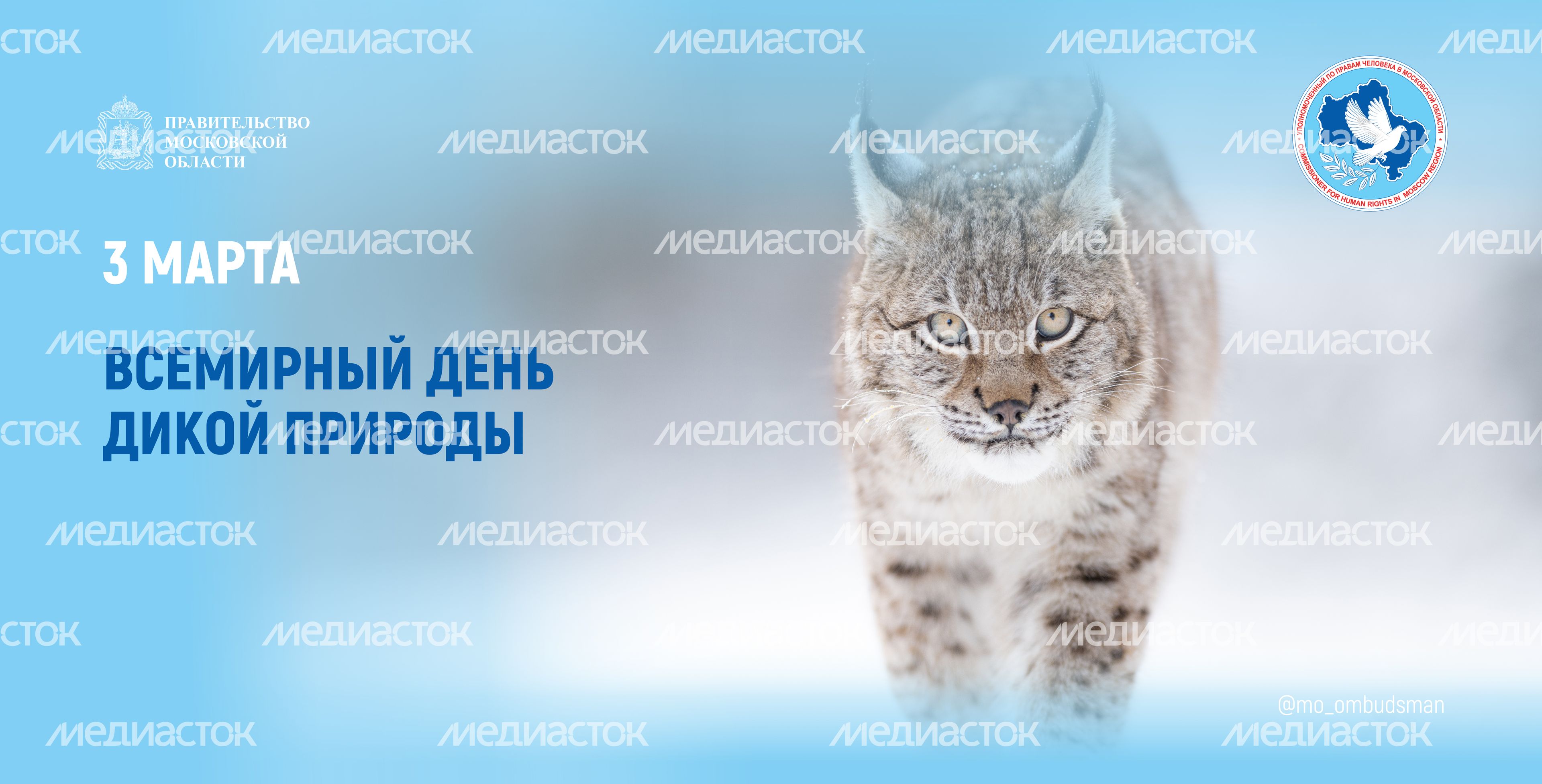 открытка-3 марта-баннер-01