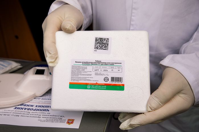 Вакцинация животных российским препаратом рабикан в парке «Взлет» Домодедово