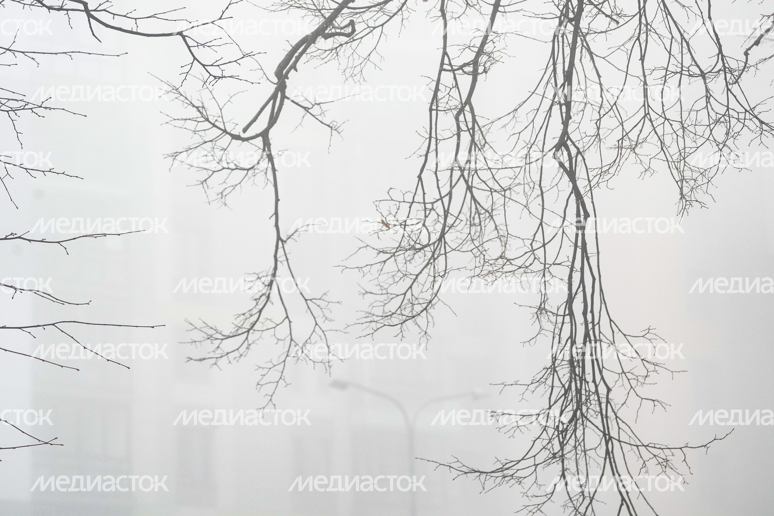 Аномальный туман в Москве
