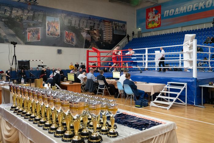 Чемпионат МО по боксу