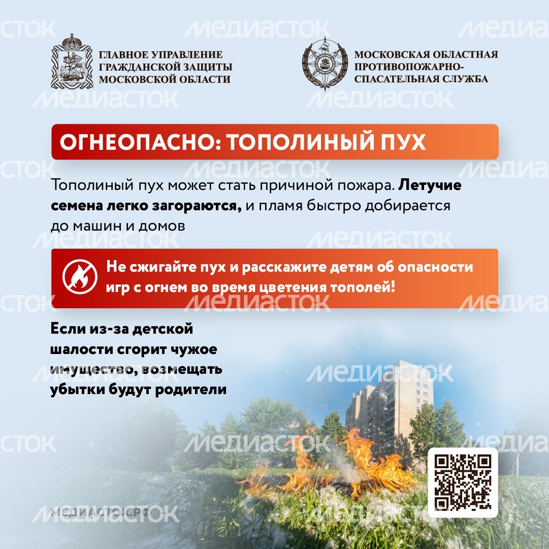 Огнеопасно тополиный пух квадрат 01 Огнеопасно тополиный пух квадрат 01