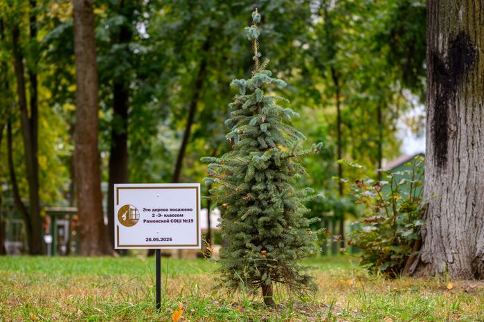 Раменский городской парк культуры и отдыха. Осень