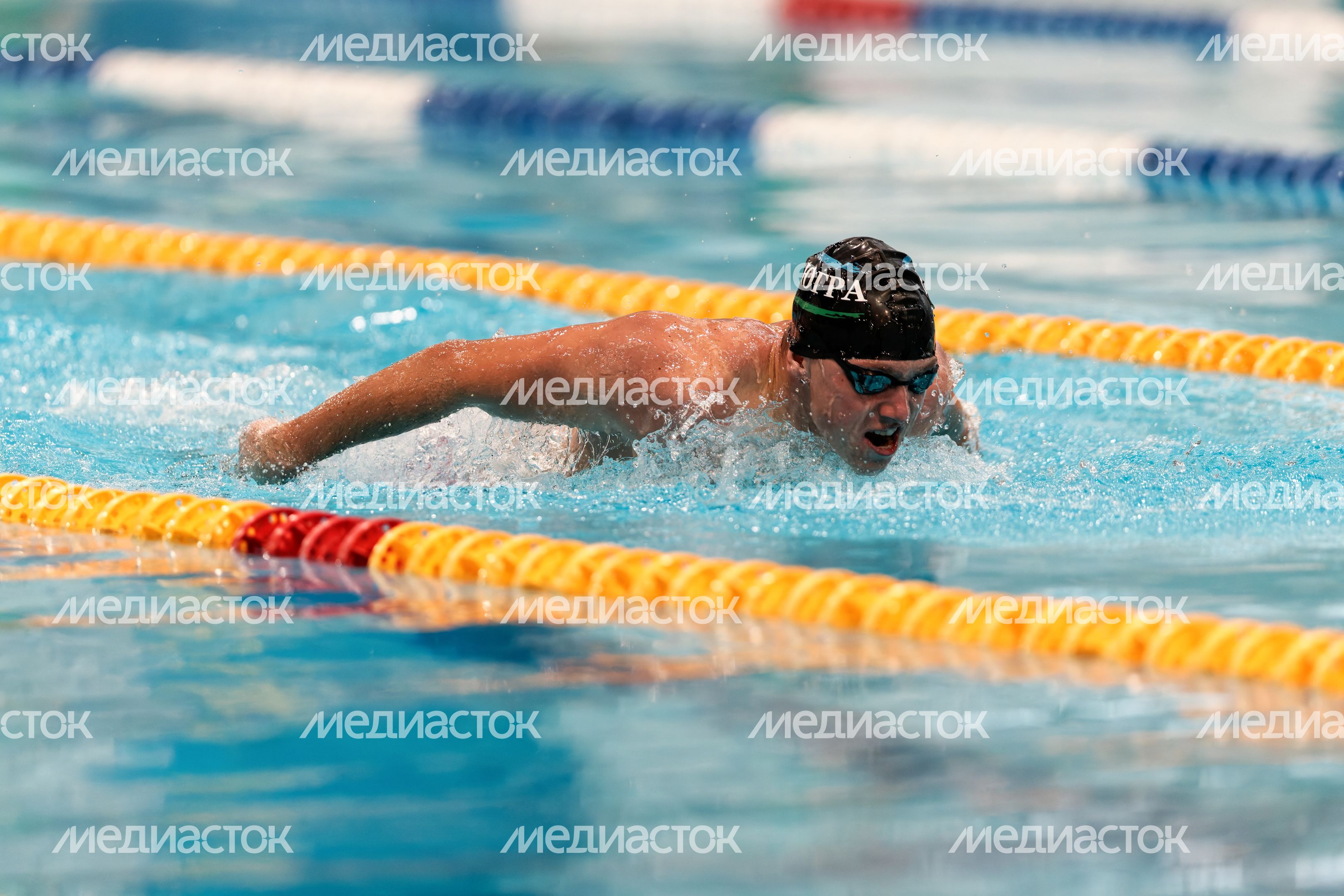 Первый турнир нового сезона Кубка чемпионов Swimcup по плаванию Первый турнир нового сезона Кубка чемпионов Swimcup по плаванию