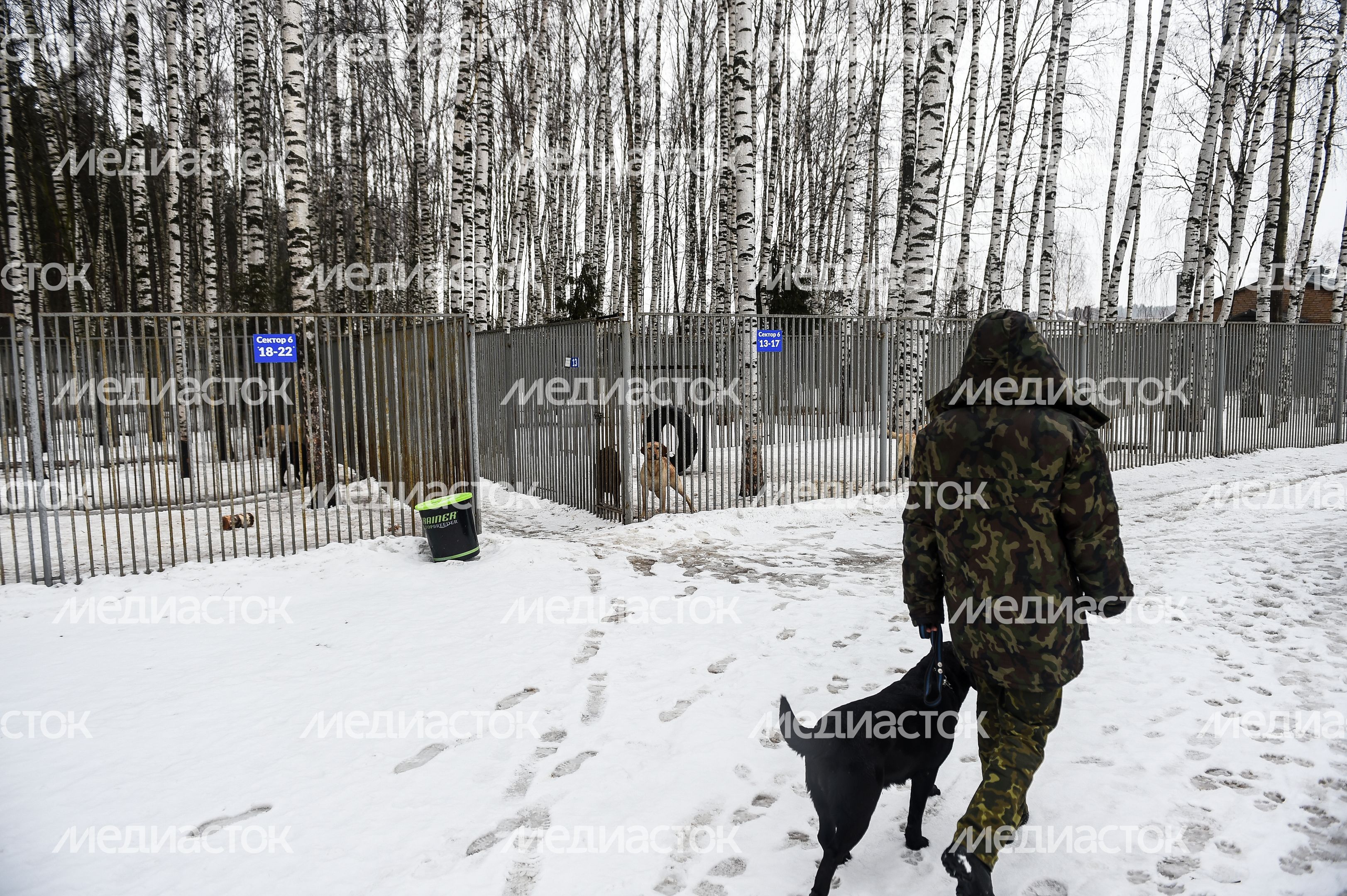 Школа собак‑проводников в Подмосковье Школа собак‑проводников в Подмосковье