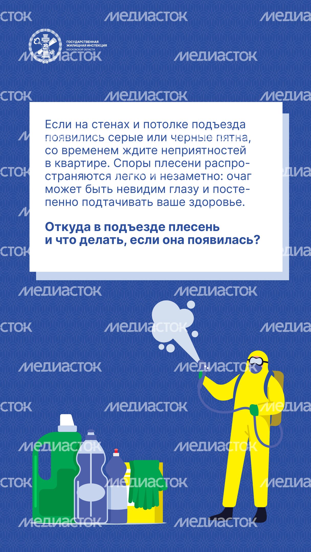 Вертикаль Плесень 02.jpg