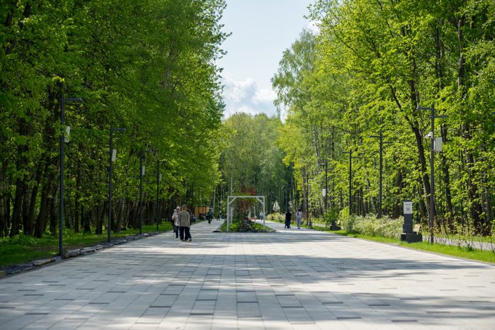 Летний парк культуры и отдыха "Авангард" в Электростали