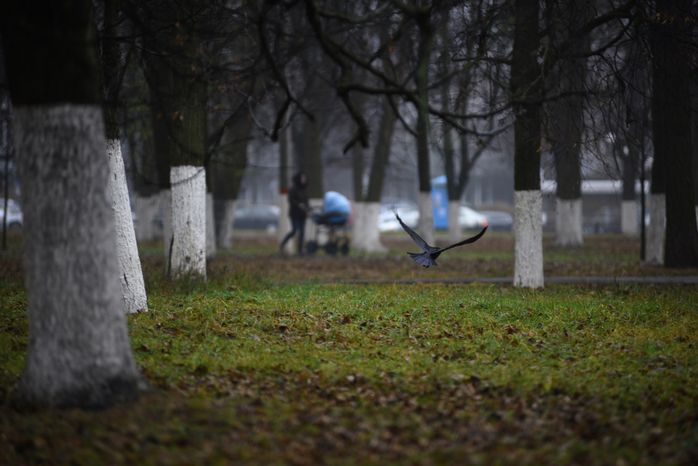 Центральный сквер в Жуковском