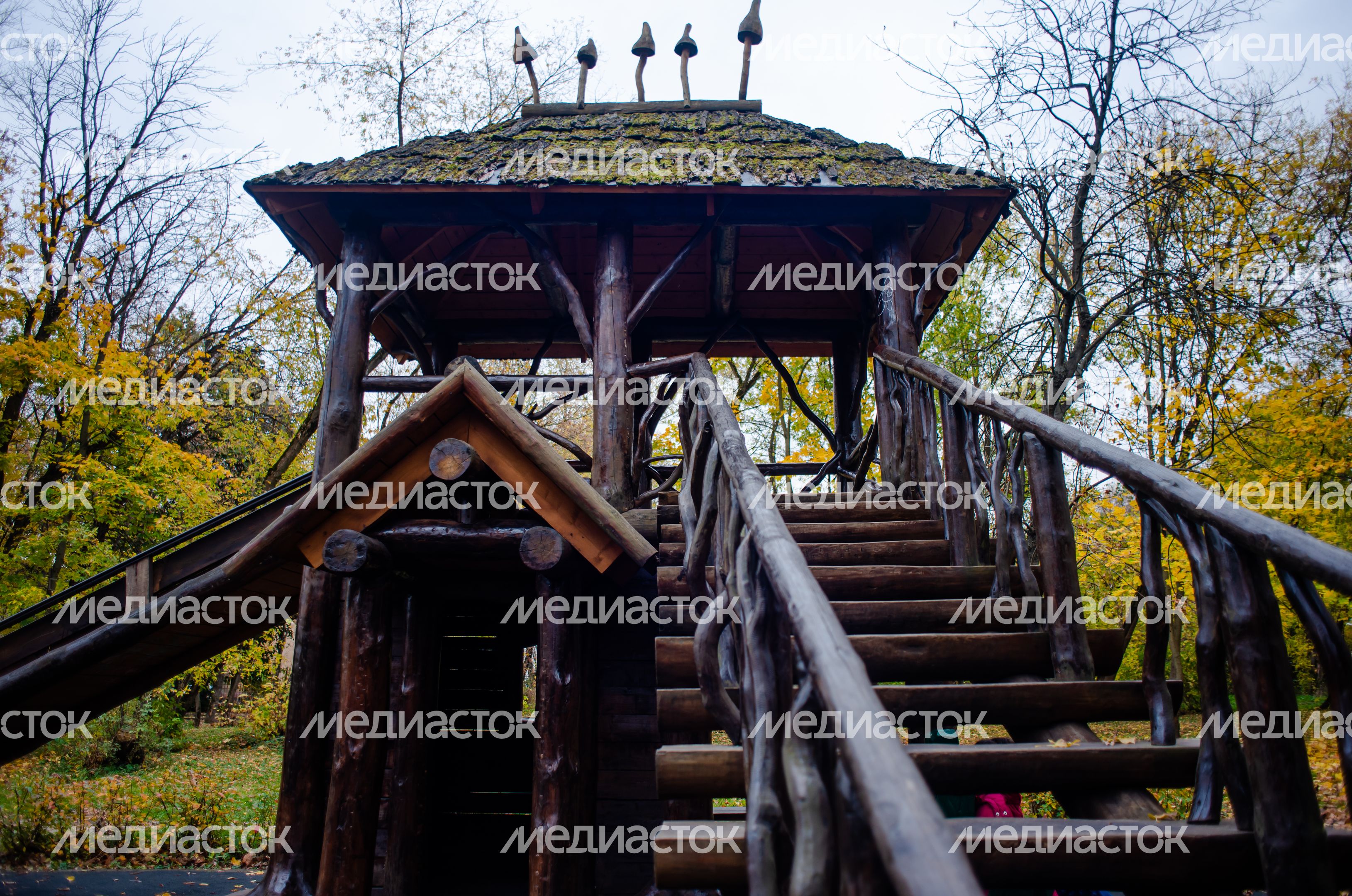 Осенние виды Городского парка в Щёлково