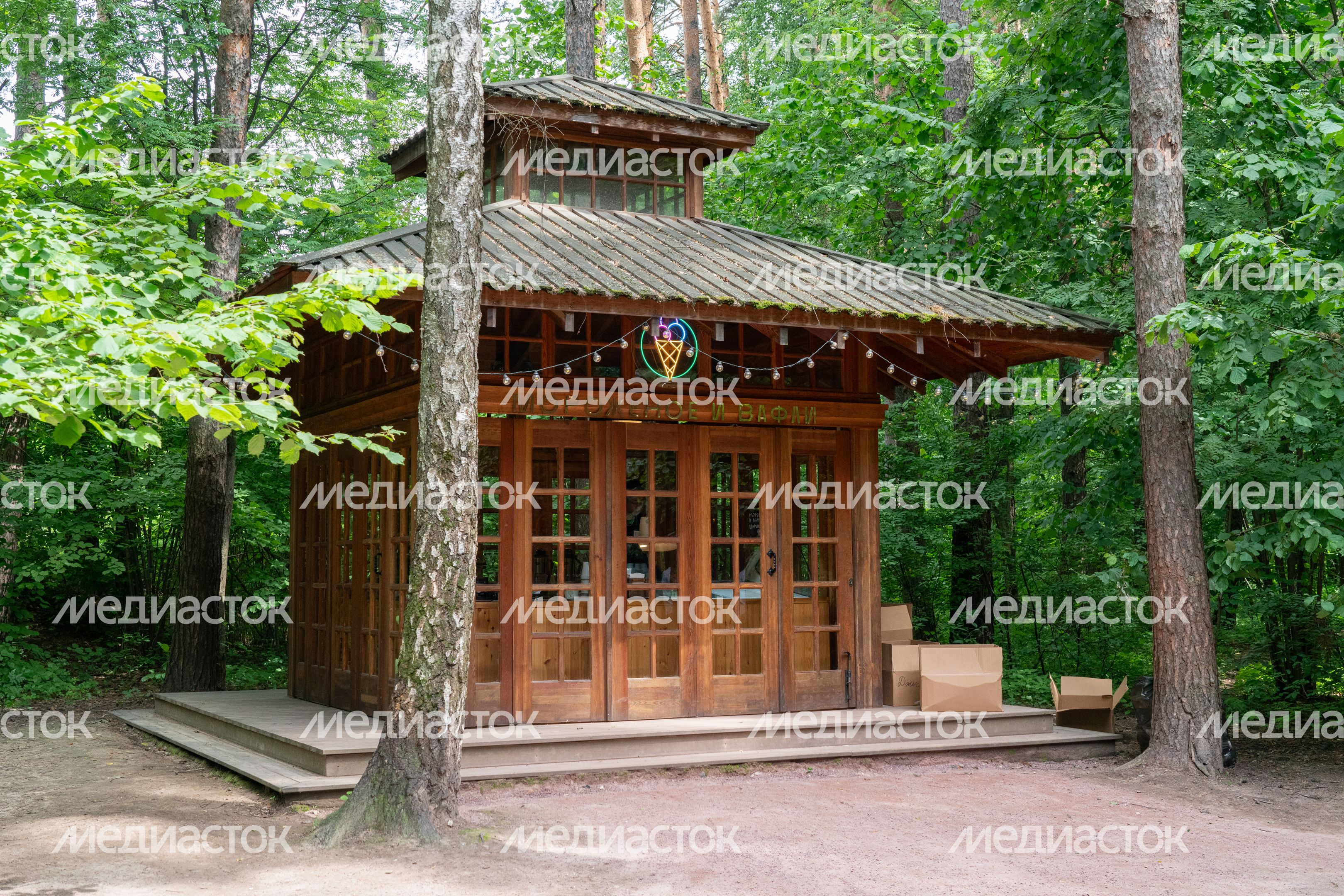 Мещерский парк летом