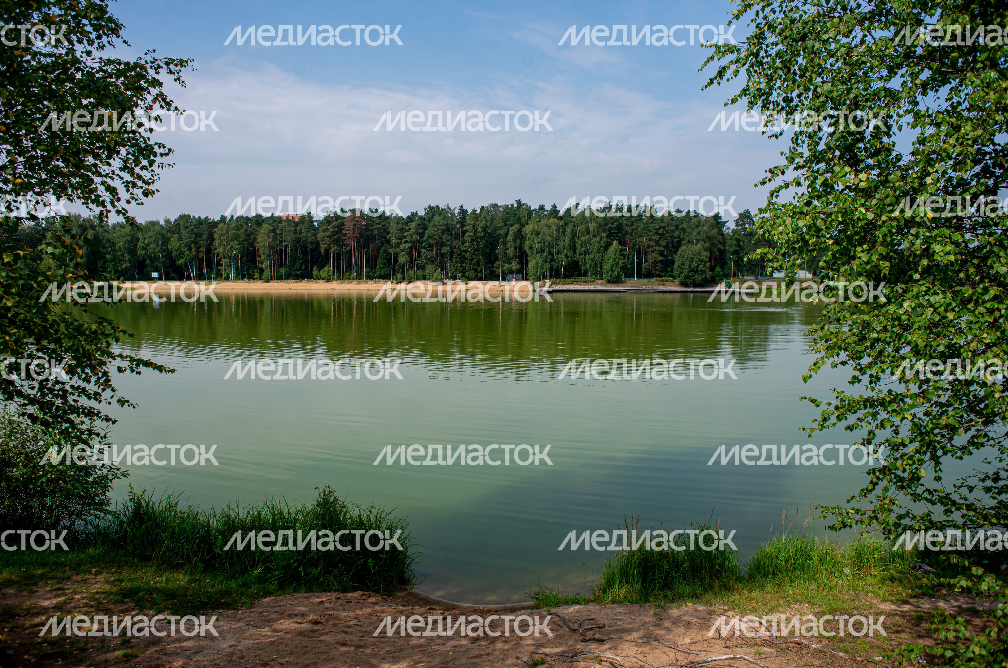 Летние виды города Черноголовка