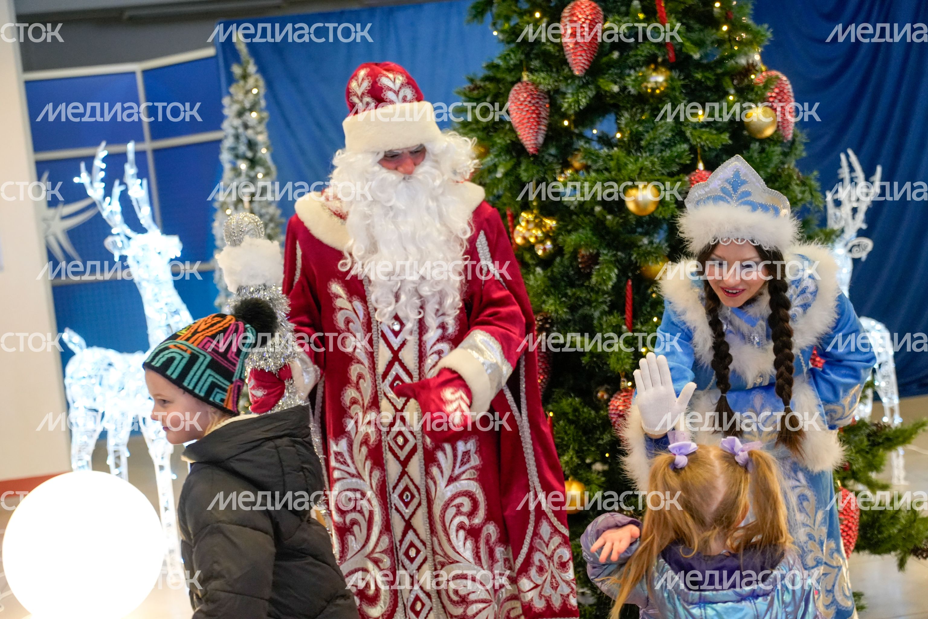Губернаторская елка в Мытищах Губернаторская елка в Мытищах