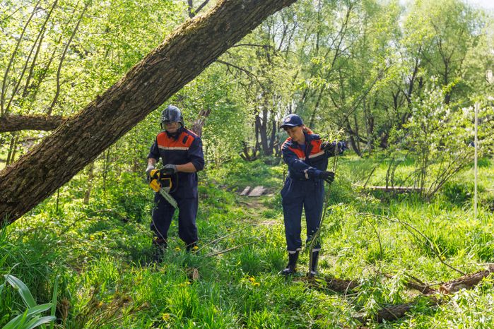 Волонтеры очистили овраг и русло реки Кочуры в Сергиево-Посадском округе от мусора