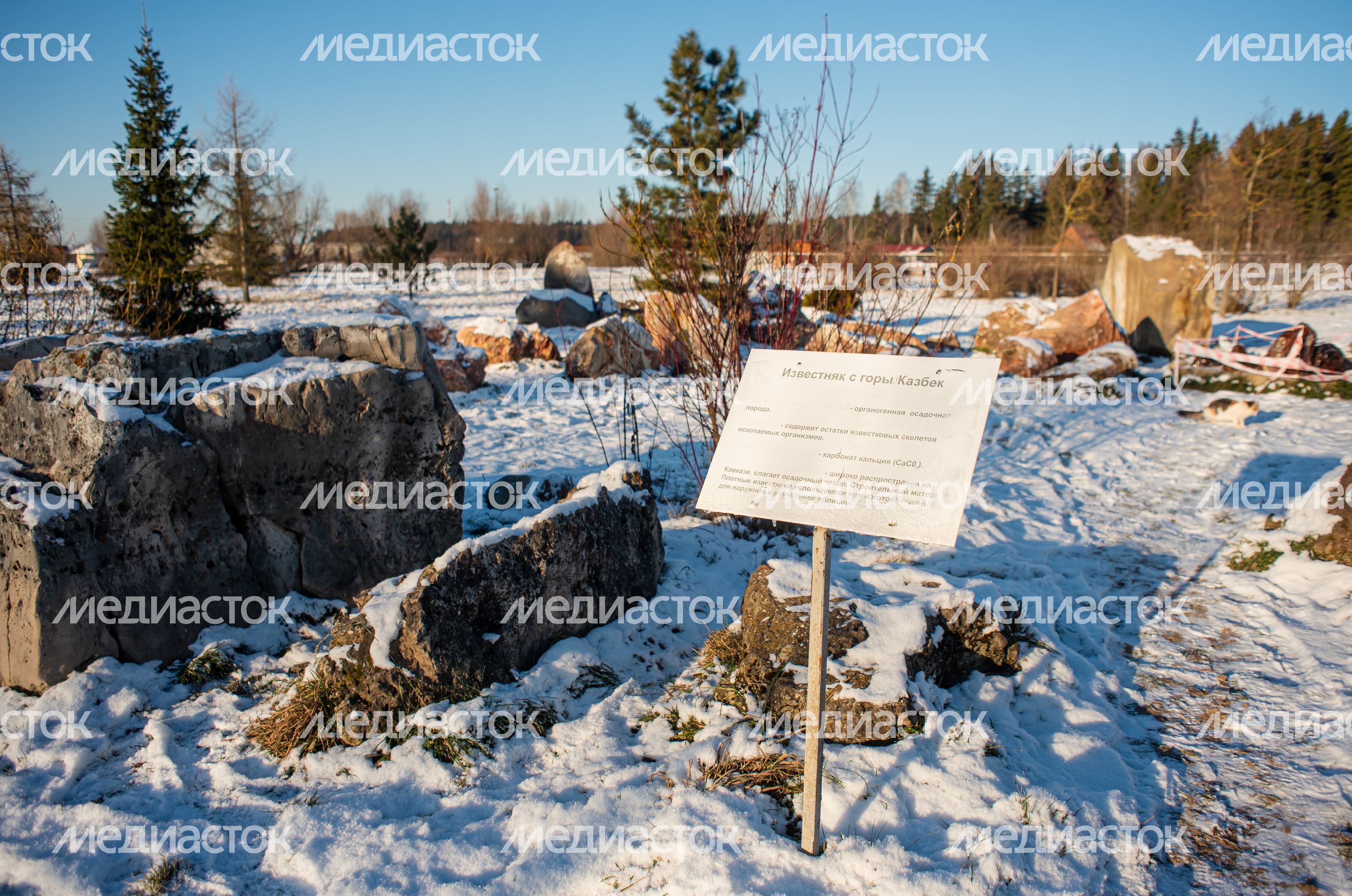Зимний Парк Птиц «Воробьи»