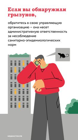 Крысы в МКД вертикаль (6)