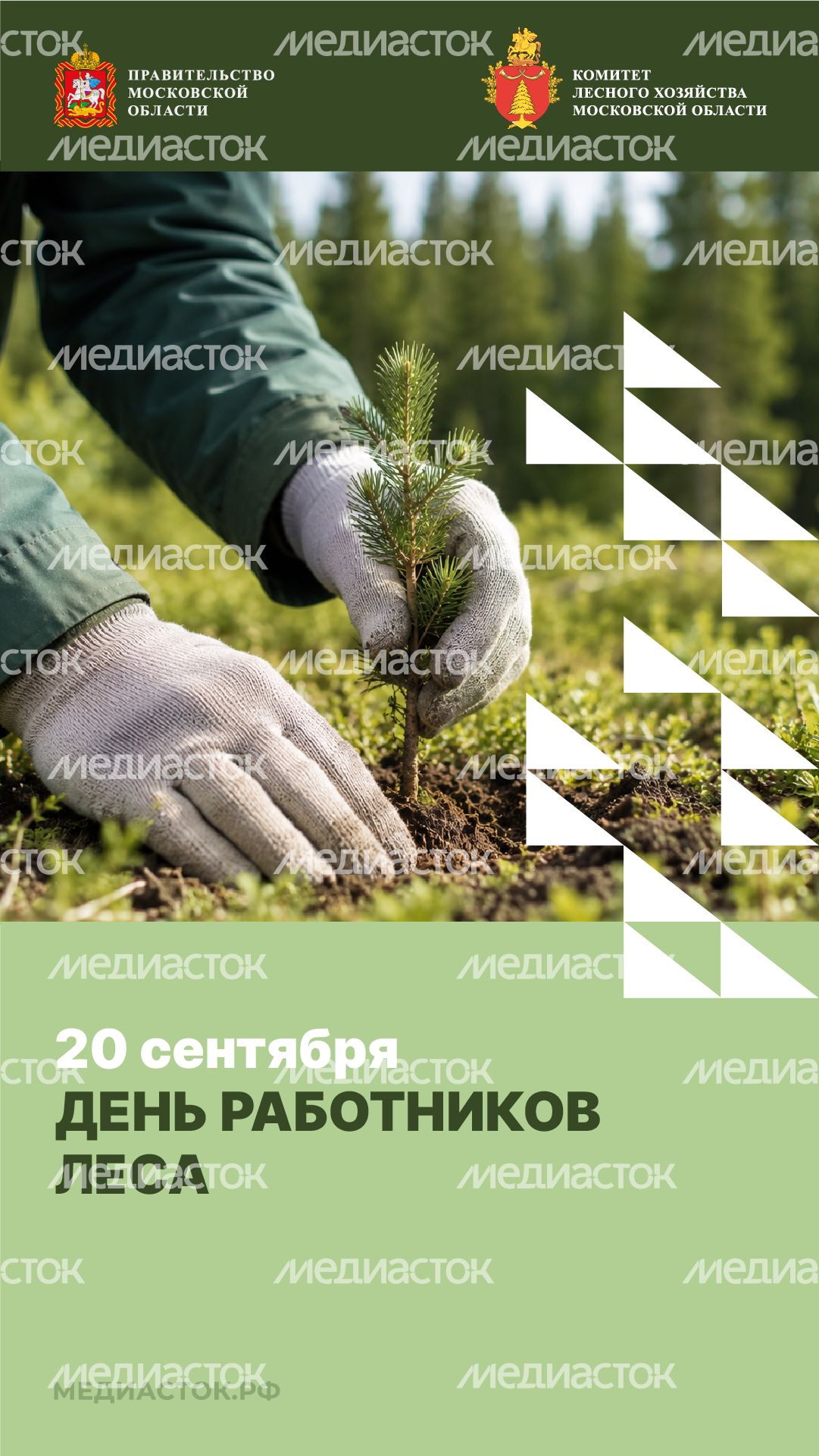 День работников леса вертикаль 01