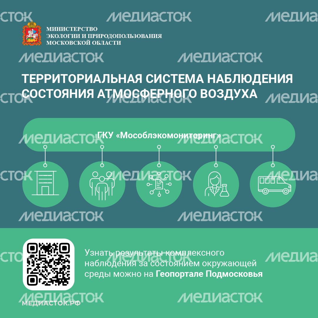 Информационные карточки квадрат 03 Информационные карточки квадрат 03